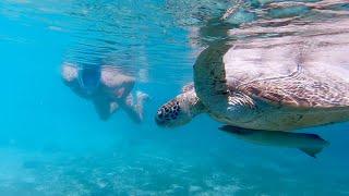 Snorkeling in New Caledonia