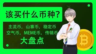 【该买什么币？】主流币，山寨币，稳定币，空气币，MEME币，传销币大盘点