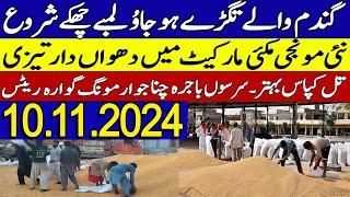 New Munji rates 2024/Gundam rate Makki Till rates 2024 |SarSon Dhan rates