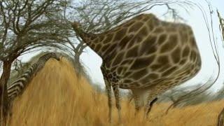 YouTube Kacke | Das Leben in Afrika