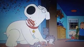 FAMILY GUY (Brian shows no mercy)