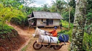 SUASANA SORE YANG TENANG, HUJAN TURUN DI KAMPUNG NAMBAH BETAH, HAWA DINGIN PEDESAAN SUNDA JAWA BARAT