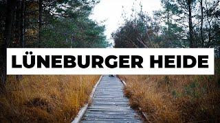 Lüneburger Heide: 3 tolle Ausflugstipps - umsonst und draußen