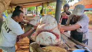 Incredible Shark Cutting Show at the Biggest Village Street Fish Market!