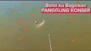 Wow...!!! Mancing Belanak Pakai Botol Disungai Ini Bikin Pikiran Melayang Serasa Panen Ikan Dikolam