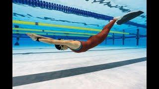 2023 AIDA 泳池世錦賽 ─ 台灣隊紀錄