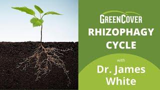 Rhizophagy Cycle with Dr. James White