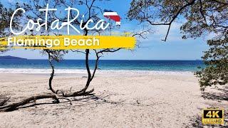 Playa Flamingo, Costa Rica: 3-Minute Travel Overview 