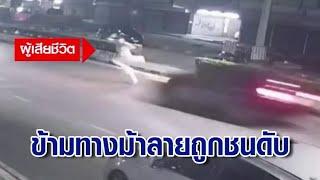 เก๋งซิ่งชน นทท.ฝรั่งเศสข้ามทางม้าลาย กลางเมืองกาญจนบุรี ร่างกระเด็น ดับสลด