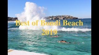 Best of Bondi Beach 2019 | Top things to do in Sydney 4K | Petite Paradise Studio Travel Guide