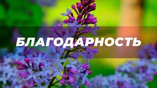 Благодарность. Ощущение Благодарности. Скрытые Аффирмации. Саблиминал