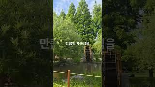자존심이 밥 먹여주냐#정법강의 #자존심 #실력 #성장하는삶 #삶의질량#노동자 #지도자 #인생의그릇 #인간관계 #자기성찰