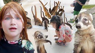 WHAT ARE THESE ?  Surrounded by crazy raccoon animals in a Mexico WATER PARK with Adley Niko Navey