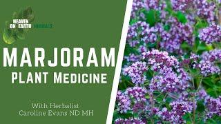 Marjoram, what are the health benefits of one of our oldest modern medicines?