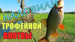 НАЛОВИЛИ КУЧУ РЫБЫ!!! Удачная рыбалка на экраны-телевизоры.