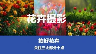 花卉摄影想要出片，三大部分十点建议，请大家观看与收藏