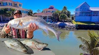 6 Hours Fishing for the Tastiest Saltwater Fish Inshore!! CATCH/CLEAN/COOK