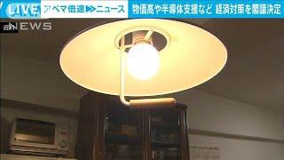 低所得者への給付や半導体支援など　経済対策を閣議決定(2024年11月22日)