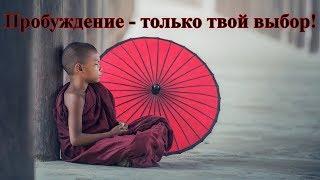 "И будешь спать ты, и думать, что бодрствуешь." Аркадий Оздоба