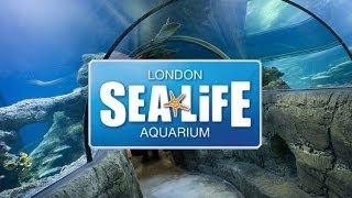 SEA LIFE London Aquarium