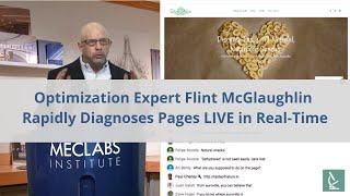 Optimization Expert Flint McGlaughlin Rapidly Diagnoses Pages LIVE in Real-Time