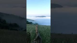 #Carpathians #Hutsul  #Nature  #Mountain #Traditions #Tourism #ActiveRecreation #Mountains #Ukraine