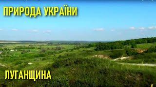 Старобільськ: крейдяни гори  Природа України: Луганщина  Літо: липень  Nature of Ukraine