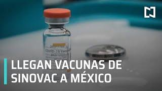 Llegan vacunas chinas de Sinovac a México - Sábados de Foro