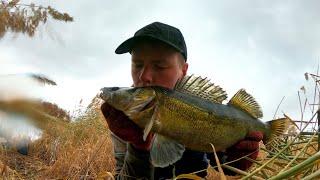 Трофейный судак чуть не вырвал спиннинг из рук! Щука и судак на джиг! Jig fishing!