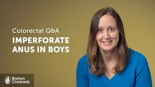 What is imperforate anus in boys? | Boston Children's Hospital