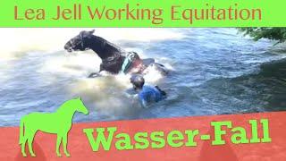 Reitunfall - "Wasserfall" Erst ein wunderschöner Ausritt, dann kam der „Wasserfall“