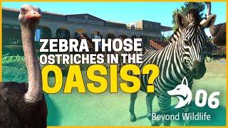 ZEBRAS...OSTRICHES...OH MY!! | Beyond Wildlife Park (ZSU) | Planet Zoo