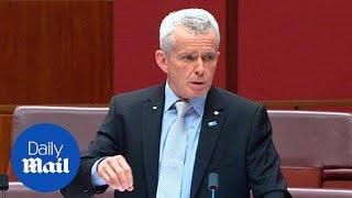 One Nation Senator Malcolm Roberts clucks like chicken in Senate - Daily Mail