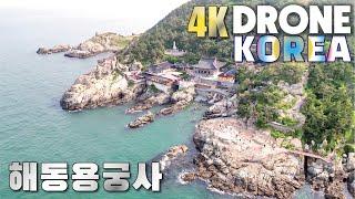 4K 드론영상 부산 기장 해동용궁사 海東龍宮寺 바닷가 절경에 있는 사찰  한국에서 가장 아름다운 사찰 DRONE Haedongyonggung Temple BUSAN KOREA