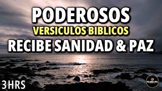 Poderosos Salmos y Versículos Bíblicos para Dormir y sentir paz | Biblia Hablada