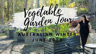 Vegetable Garden Tour | Australian Winter June 2023