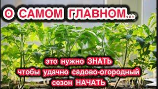 Грунт, семена, свет-и проблем с рассадой нет. Удобрения и защита-и проблема с выращиванием закрыта