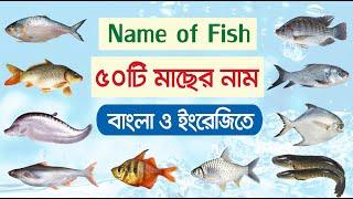 ৫০টি মাছের নাম বাংলা ও ইংরেজিতে | Name of Fish Bangla & English | Basic English learning for kids