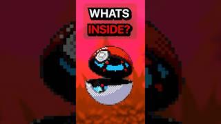 [OFFICIAL] What Happens INSIDE A Pokeball?