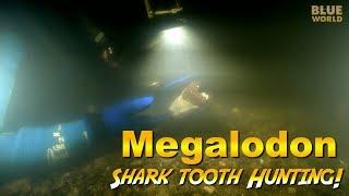 Megalodon Shark Tooth Diving! (Dark and scary!)