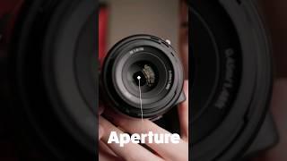 Camera Basics: Aperture Explained!