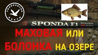 Маховая или болонская удочка на озере?