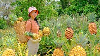 Harvest Pineapples & Go sell at the Market - Prepare Dishes From Pineapple | Thu's Country Life