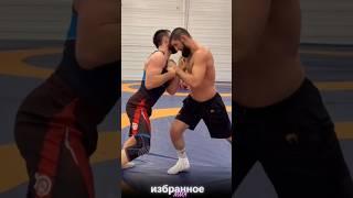 Хамзат Чимаев тренируется со сборной России по Греко-римской борьбе #ufc #khamzatchimaev #mma