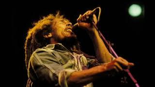 Bob Marley "Roots Rock Reggae" Live 80 HD