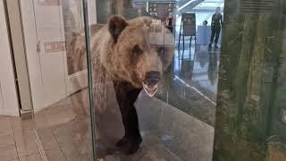 Государственный исторический музей Южного Урала