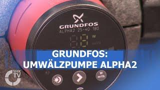 Grundfos: Umwälzpumpe ALPHA2 | SHK-TV