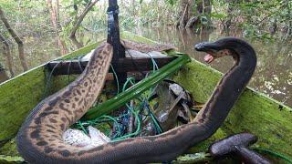 PANIK KETIKA MASUK KE SAMPAN TIBA-TIBA BUNTUT ADA KEPALANYA.., DAN MONSTER PREDATOR