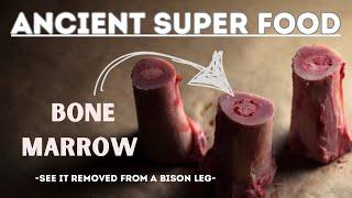 SUPER FOOD of the ANCIENTS | Bone Marrow #superfood #neanderthal #survival #bushcraft #paleolithic