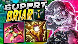 BRIAR SUPPORT IS OVERPOWERED! NEW SECONDARY ROLE?!
